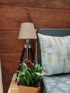 CABAÑAS EN ZONA 16 - 5