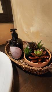 CABAÑAS EN ZONA 16 - 6