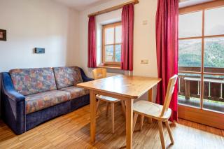 Lindenhof Apt 2 - Vandoies - 7