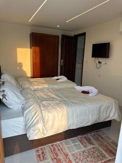 mystery of the pyramids & sphinx - 3