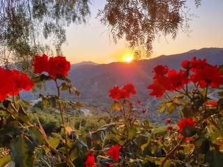 Cortijo La Rijana - 4