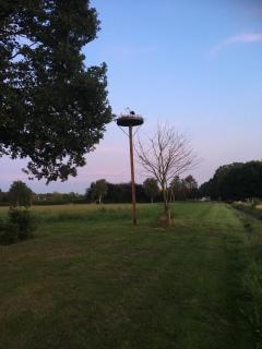 Houten villa Tine - 9