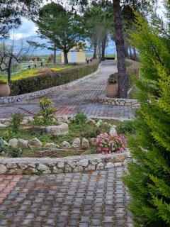 Alexandra Studio 3 - 6