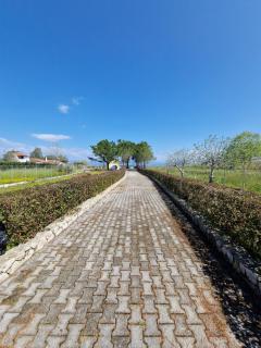 Alexandra Studio 7 - 8