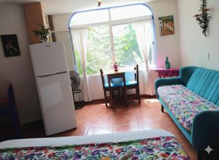 Casa Arbol de Paz - 2