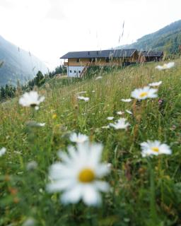 Blosegghof Bergchalets Himmelblick - 5