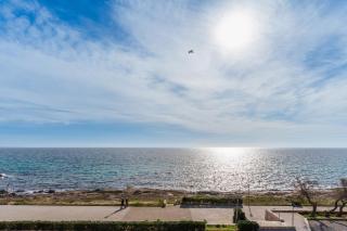 Suite Buena Vista - 8