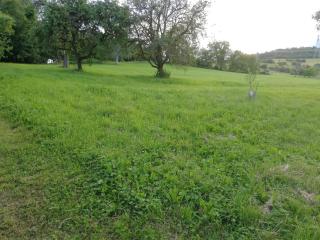 Ferienwohnung Josefa Ganter 80qm - 7