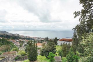 Carros De Cesto Do Monte - 8