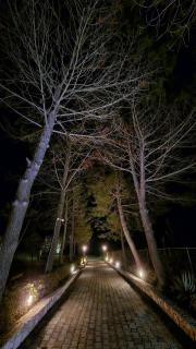 Alexandra Studio 10 - 9