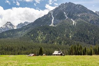 Appartamenti I Profumi del Bosco - San Pietro di Cadore - 3