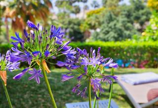 Fabulous apartment in Elviria Hills - 7