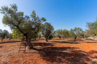 Appartamento Azzurro 2 - 9