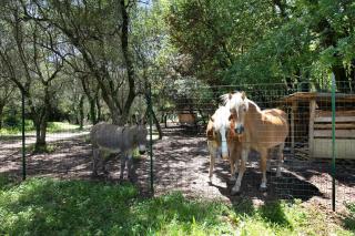 La casetta nel bosco Garda Lake - 9