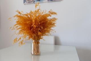 Lovely seaview apartment - 9