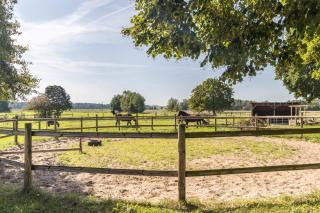 Apartment Lüneburger Heide - 8