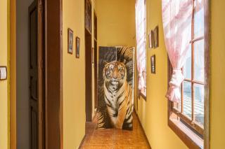 Casa Pollo Buen Lugar - 9