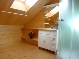 Deux grands chalets communicants - 9