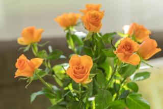 Ferienwohnung Schürer - 8