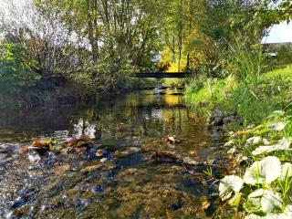 Ferienhaus Weitblick - 6