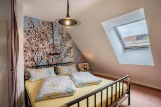 Lehmann mit Blick aufs Schloss - 9