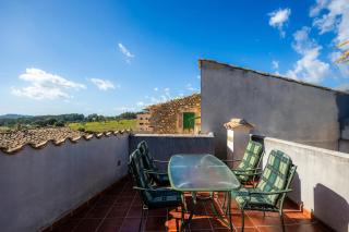 Duplex Can Roses - 9