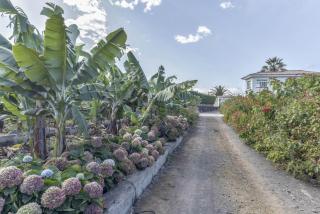 La Casita de Los Orovales - 5