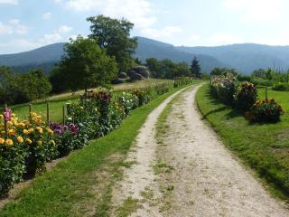 Ferienwohnung Pusteblume - 8
