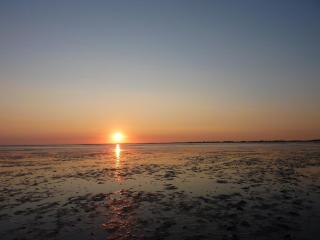 Ferienwohnung Wunschgarten - 9