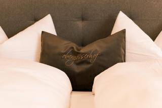 Obergasserhof Apt Hütten Gaudi - 3