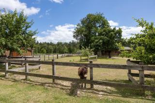 Ferienwohnung Immenhof - 9