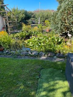 Traumhaftes Wohnen beim Badesee - 5