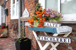 Ferienwohnung Alte Tischlerei - Hemmingstedt - 8