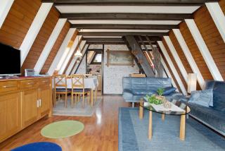 Nurdach-Haus Typ 7 - 8