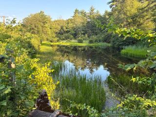 Riptide Cottage Adorable Yr Round Cottage in Bradford - 7