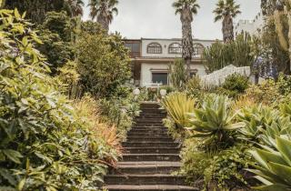 Bastion del Drago - Arucas - 0