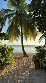 Appartement Pierre&Vacances - RDC - 9