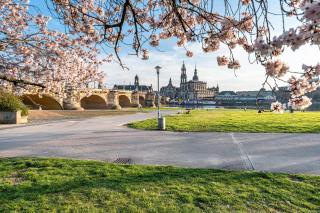 Fewo mit Terrasse Moritzburg - 8