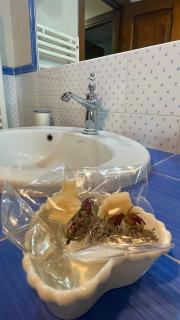 Tra gli ulivi e il panorama - 8