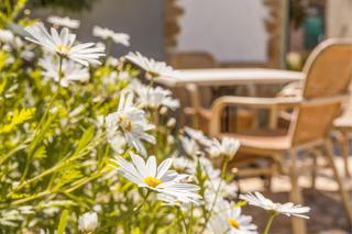 La Cabanya Apartment 3d - 9