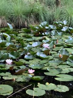 Le Pré Des Fées - 8