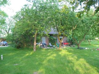 Ferienhof Thiele - 9