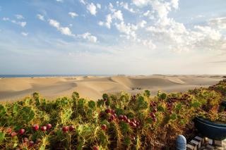 Villa Dunas Maspalomas - 6