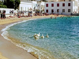 5-Bed Stylish Maisonette - 9