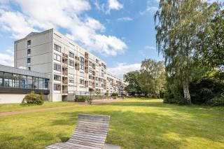 Steuermann am Steinhuder Meer - 9