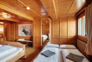 Black Forest Woods - 9