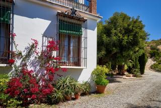 Finca Santa Matilde Málaga - 5