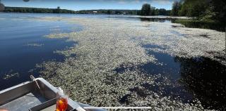 Ferienhaus am Neubäuer See - 7