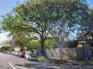 Welcome to your leafy retreat in Graceville! - 7