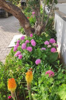 Apartments by the sea Tkon, Pasman - 16275 - Tkon - 2